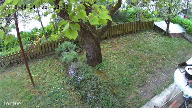 Web Cam Corseaux Lac